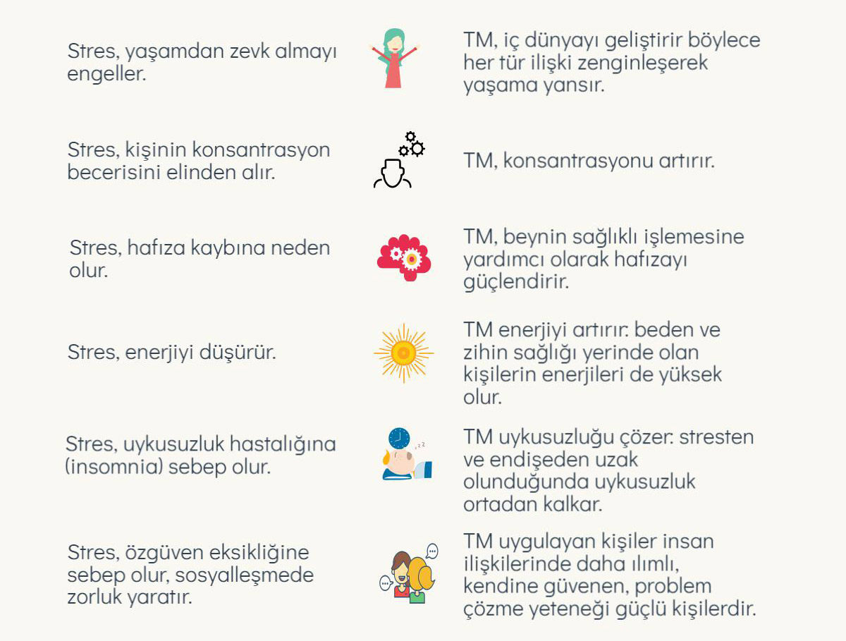 İnsan ve bedeni ne oluşur İnsan ve bedeni ne oluşur